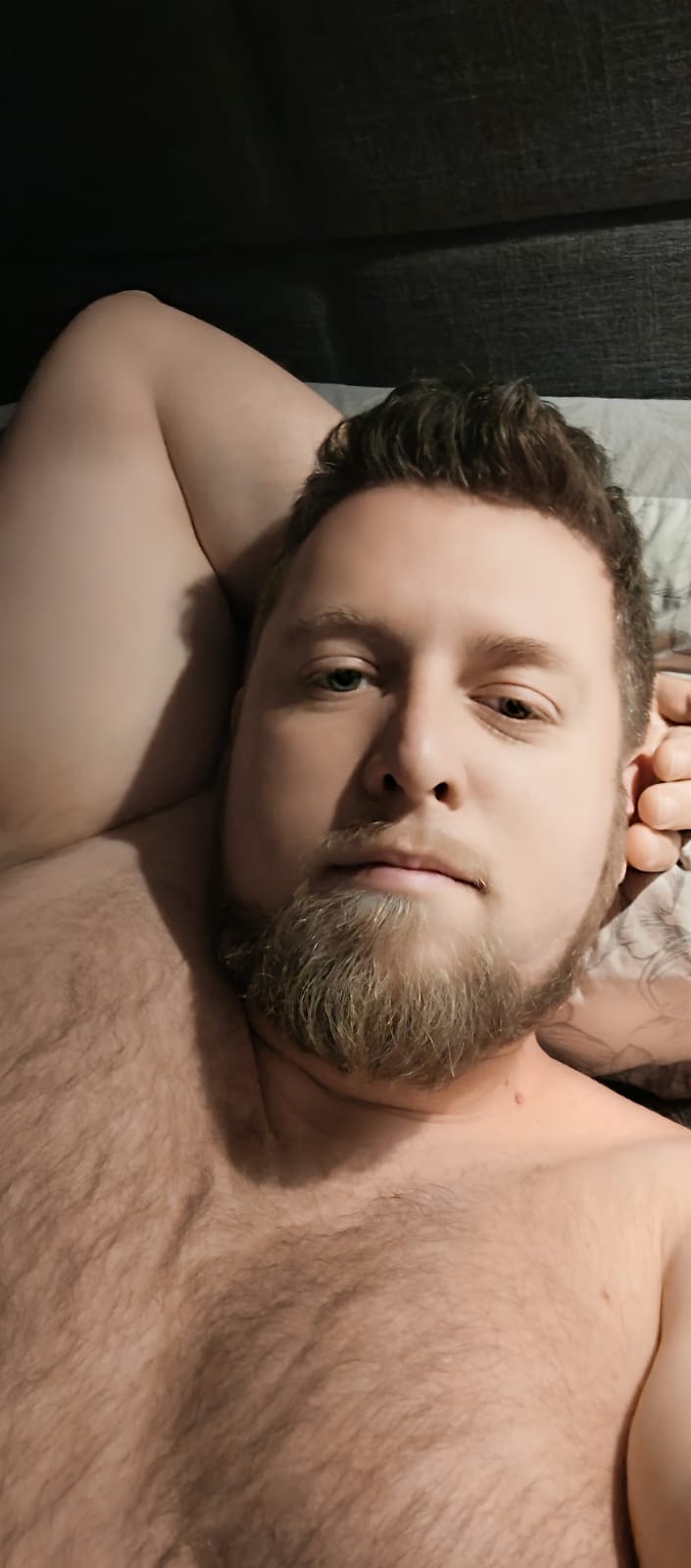 Profil de Deni